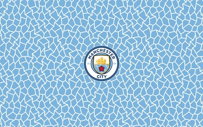 香蕉体育精华-世界杯预选赛遭遇黑哨